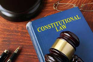 constitutional law book